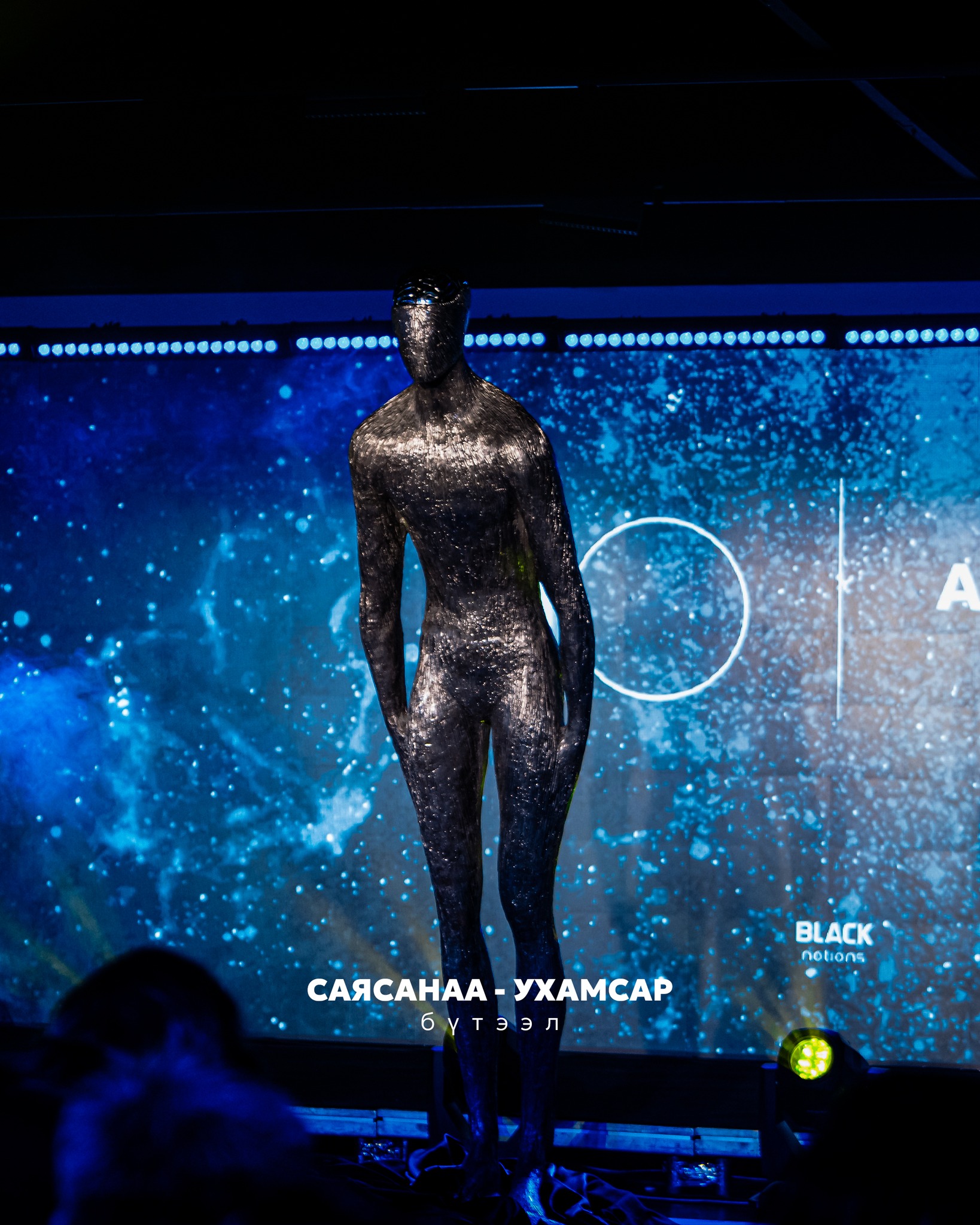 СаяСанаа – Ухамсар бүтээл 12